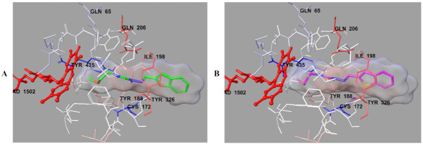 Figure 9