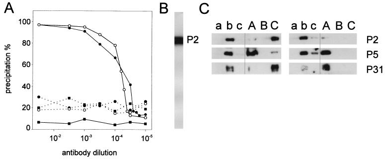 FIG. 6