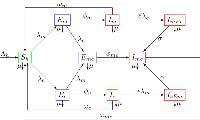 Fig. 1