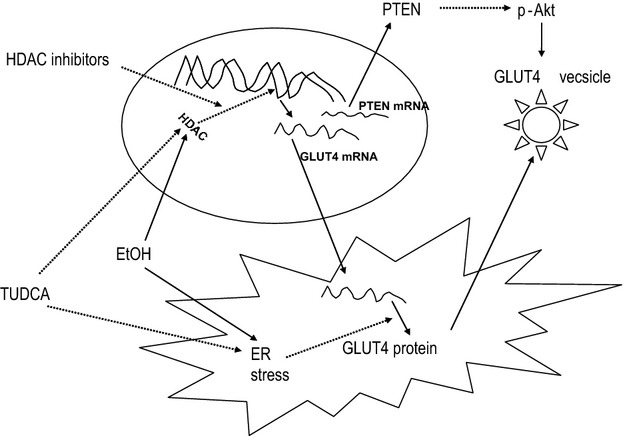 Figure 8.