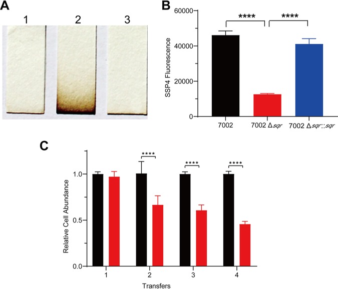 FIG 1