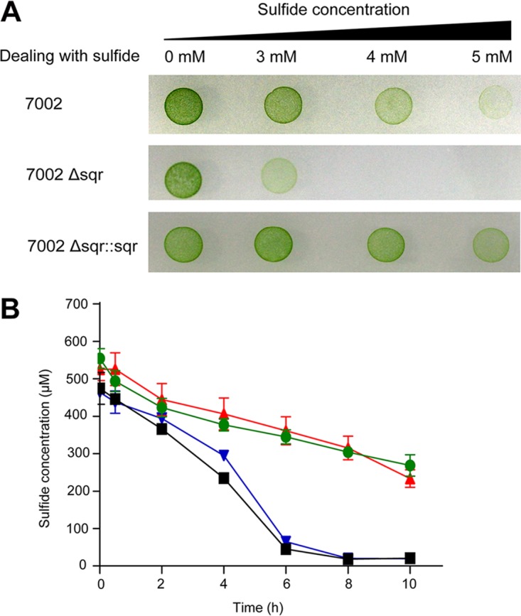 FIG 3