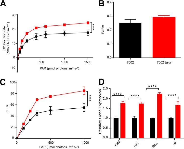 FIG 2