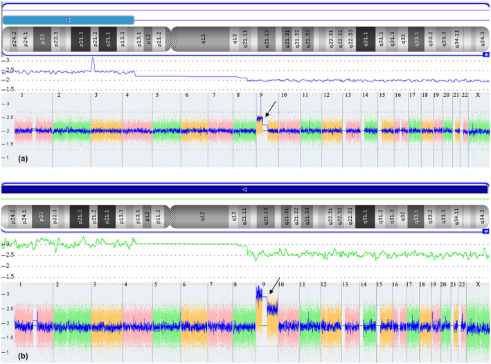 FIGURE 4