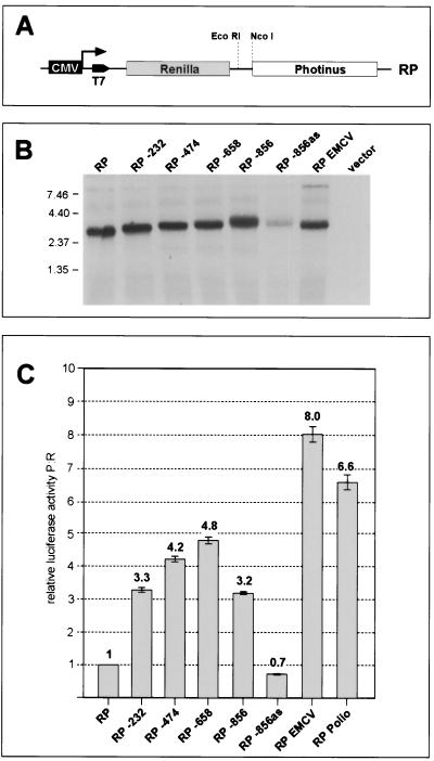 FIG. 5