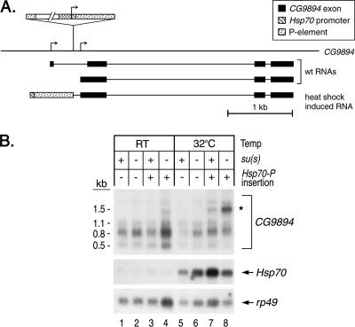 FIG. 8.