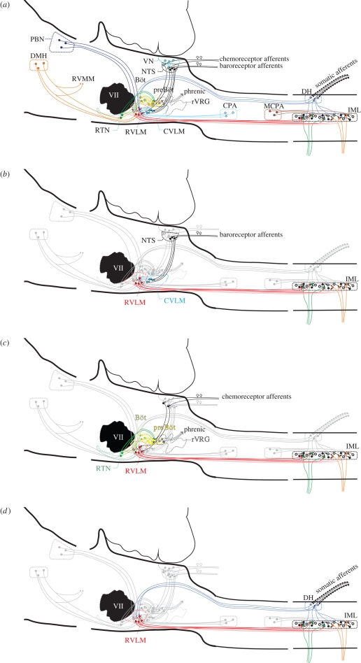 Figure 1.