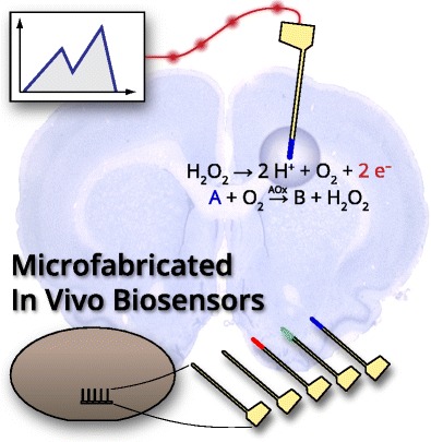 Graphical Abstract