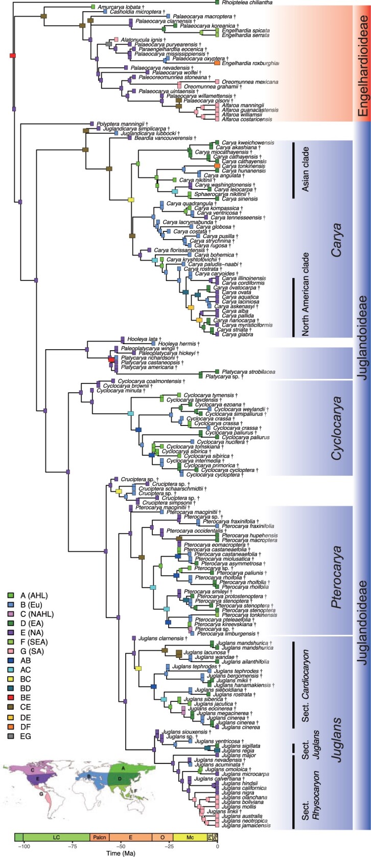 Figure 2.