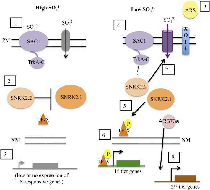 Figure 12.