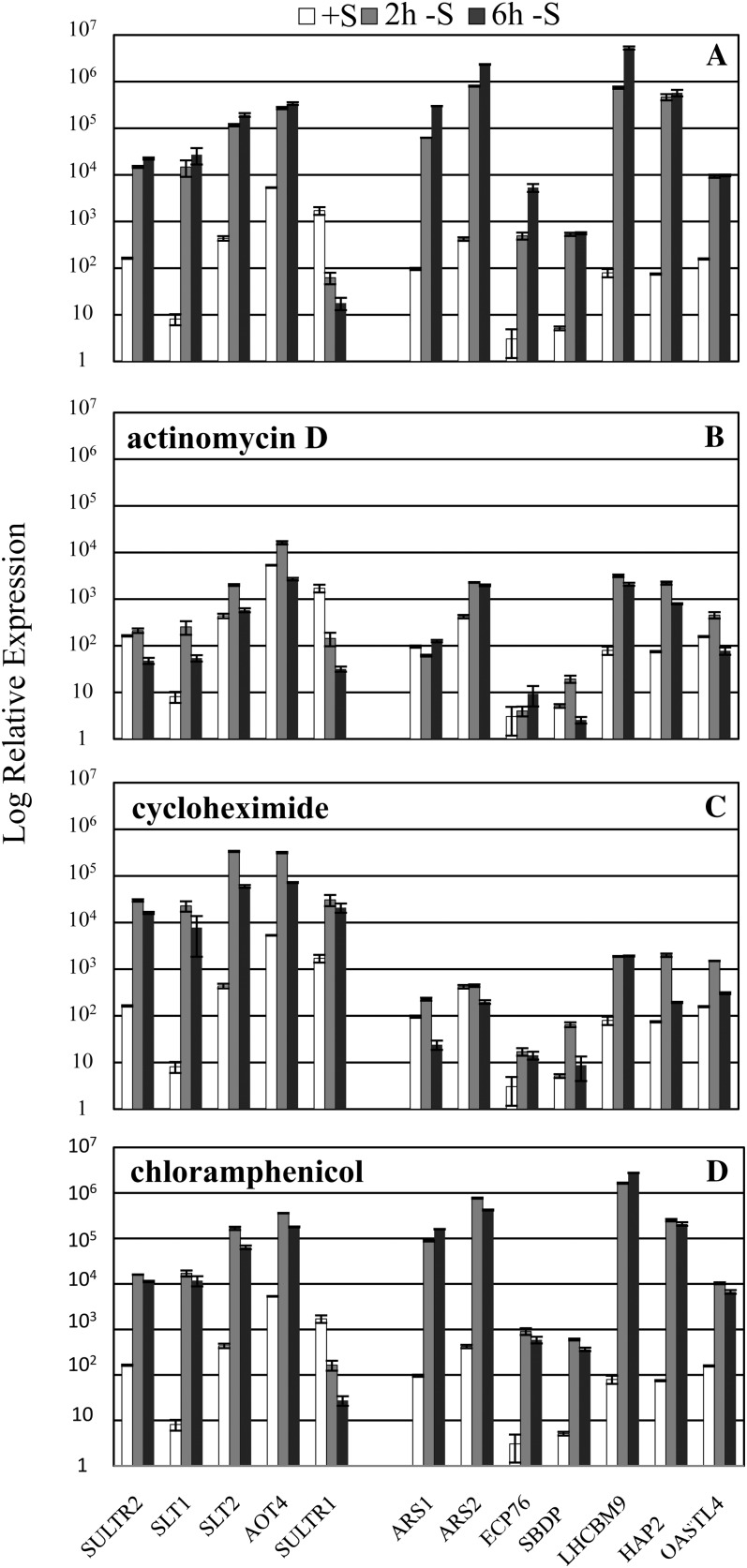 Figure 4.