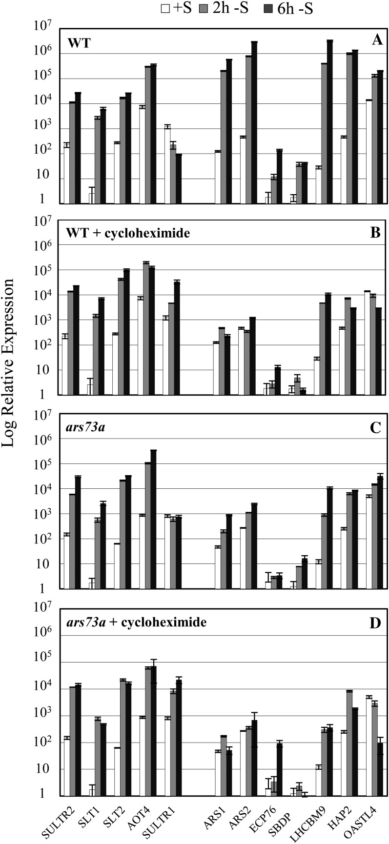 Figure 5.