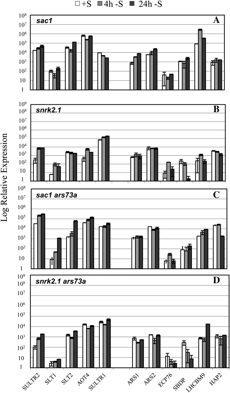 Figure 9.