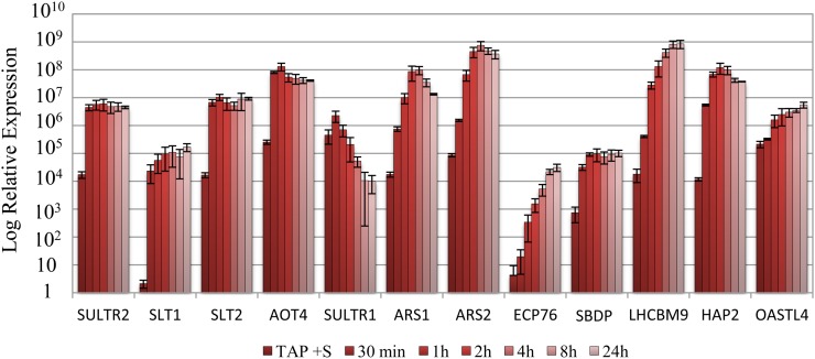 Figure 3.