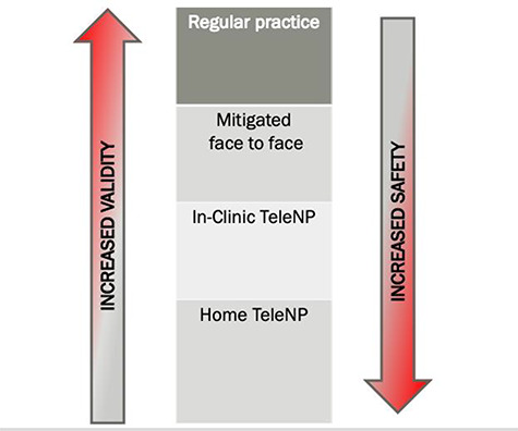 Fig. 2