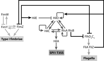 FIG. 1.