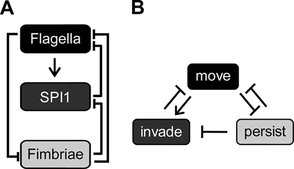 FIG. 8.