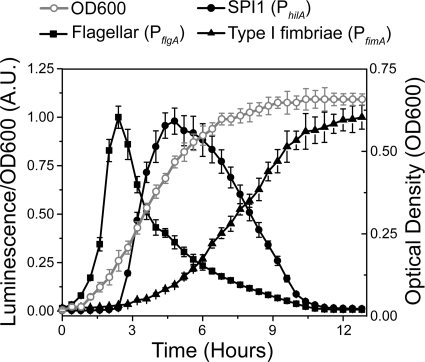 FIG. 2.