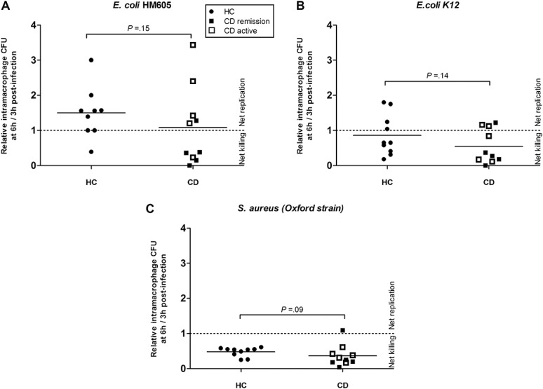 FIGURE 1