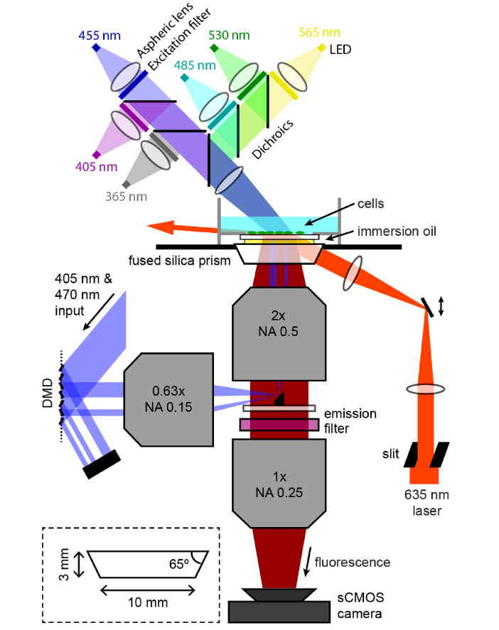 Fig. 1