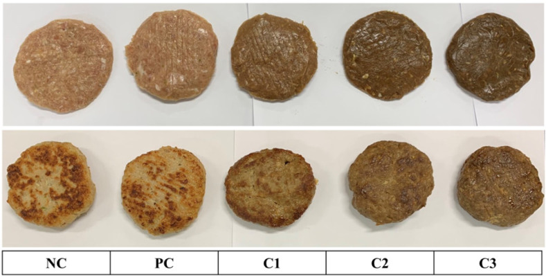 Fig. 1.
