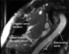 Figure 1: