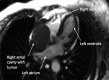 Figure 3: