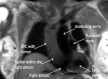 Figure 2: