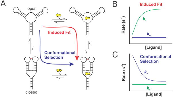 Figure 16.4