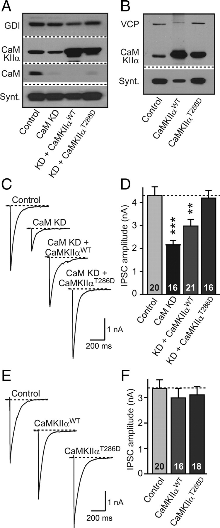 Figure 9.