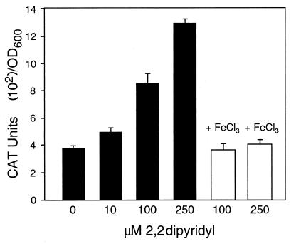 FIG. 6