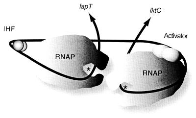 FIG. 8