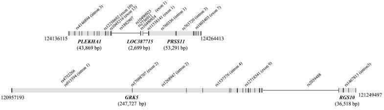 Figure  1