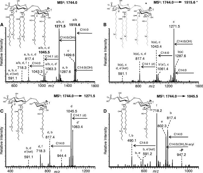 FIG. 3.