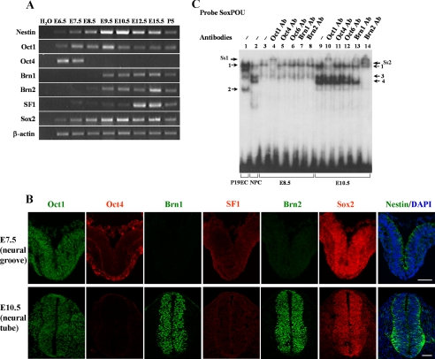 FIGURE 6.