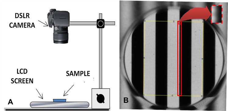 Fig 1