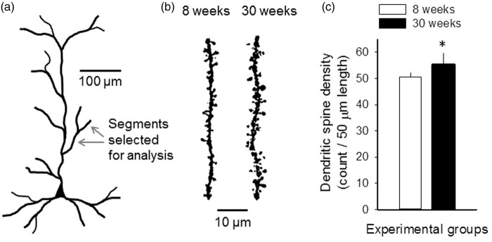 Figure 4.