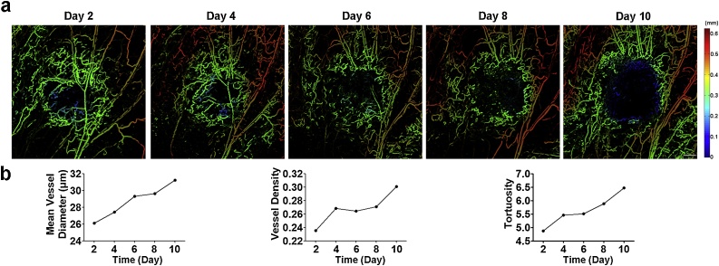 Fig. 2