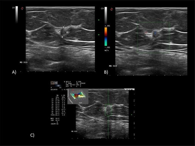 Fig. 6