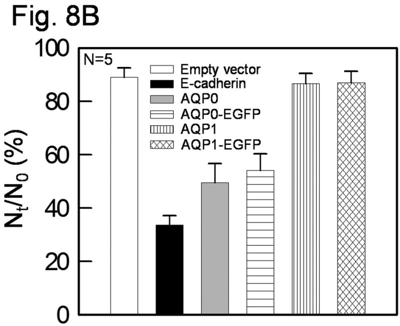 Fig. 8