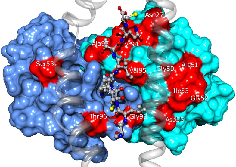 Figure 10