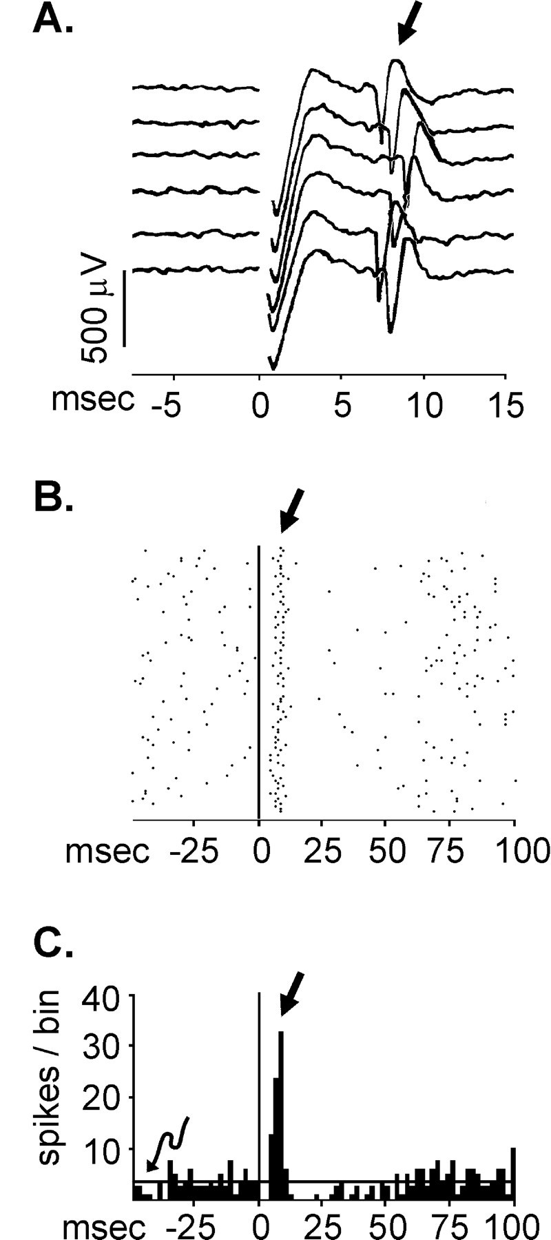 Fig. 3.