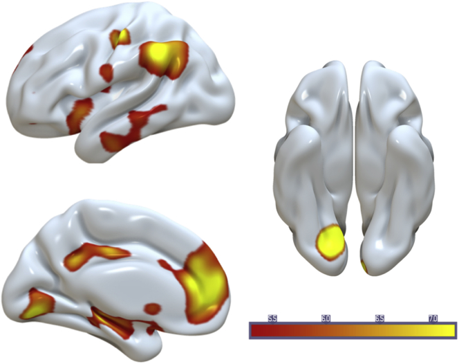 Fig. 7