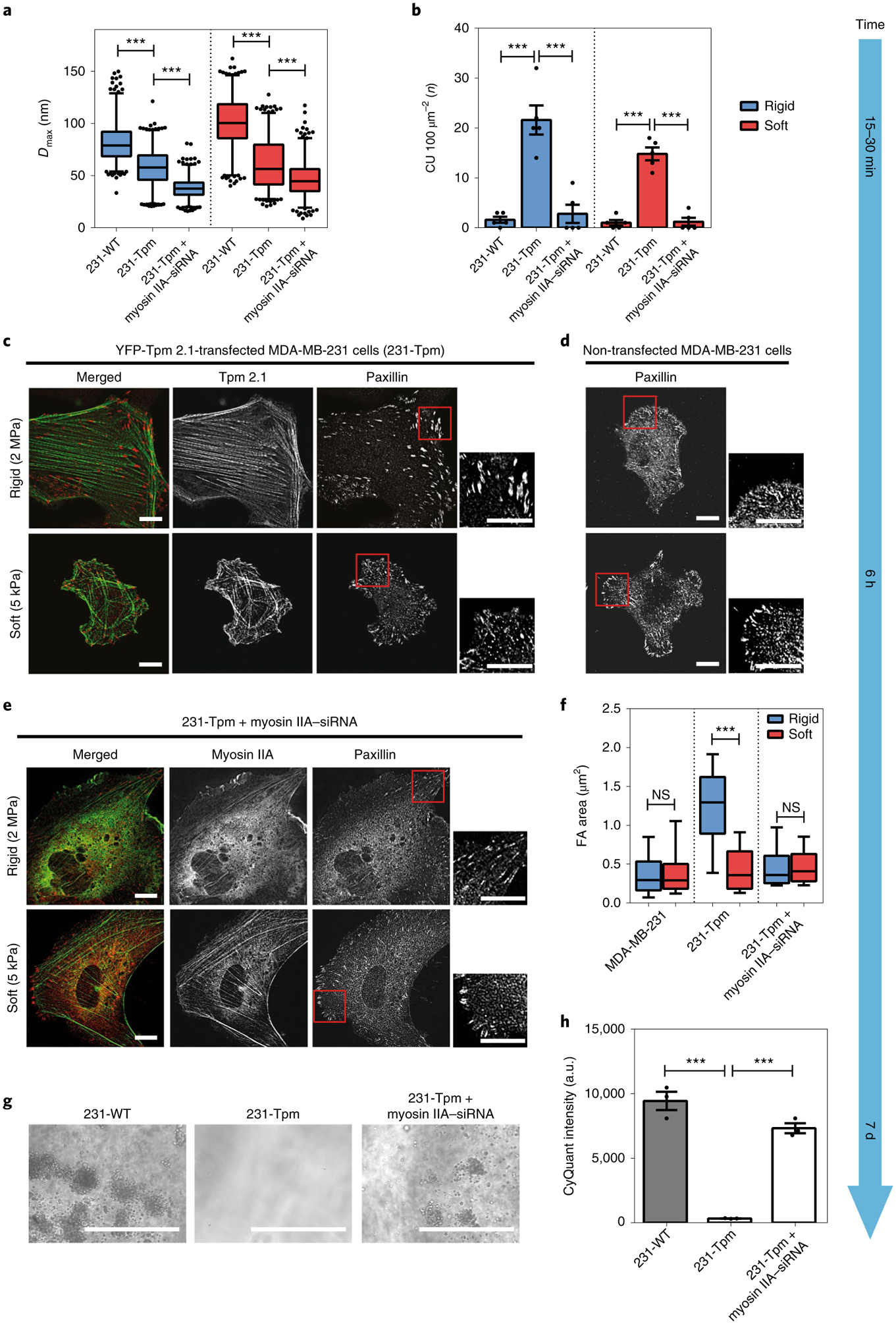 Fig. 4 |