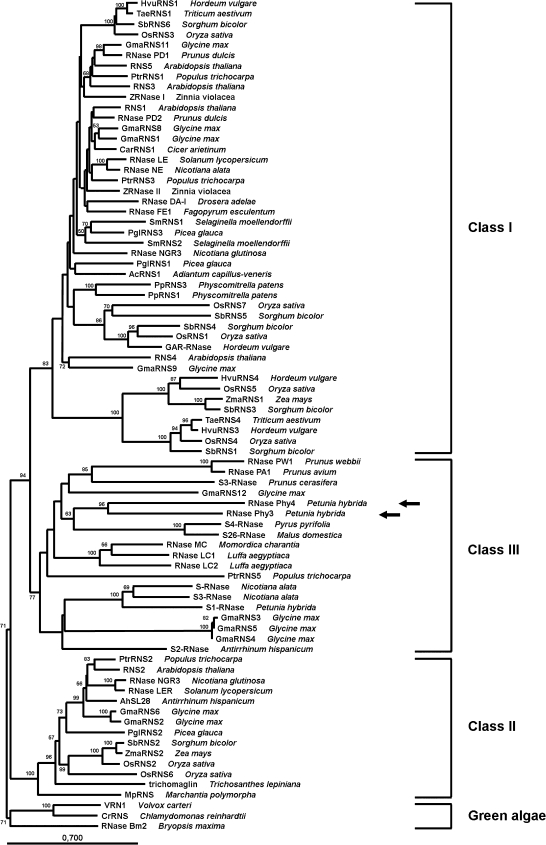 Fig. 9.