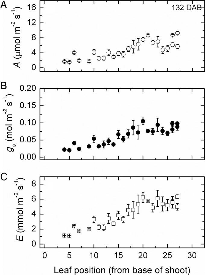 Fig. 3