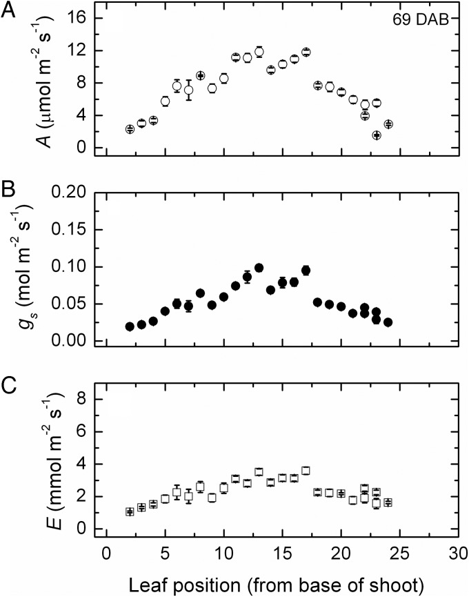 Fig. 2