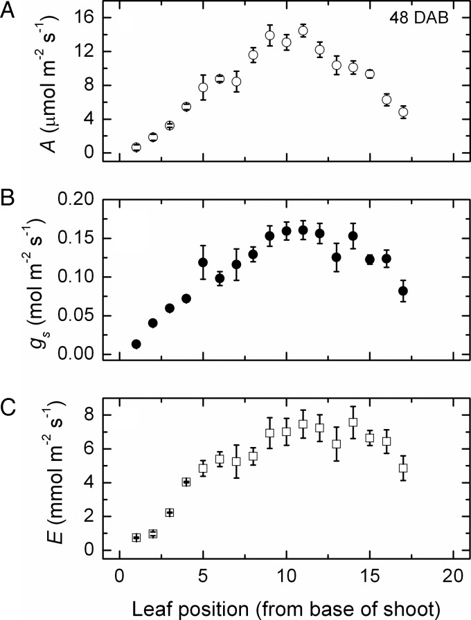 Fig. 1