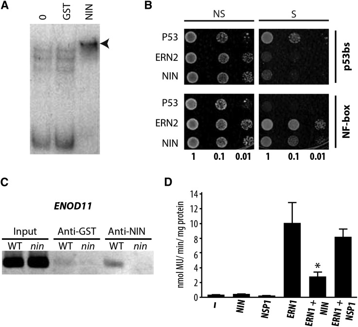 Figure 5.