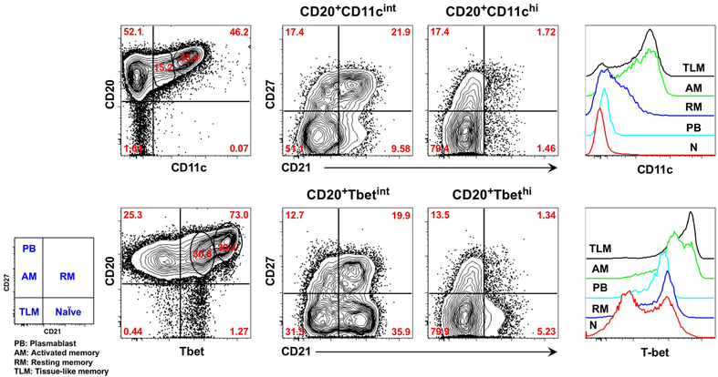 Figure 1.